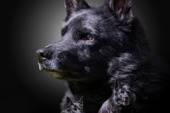 499935650_10161412421152688_4379194472294285897_n