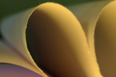 506393444_4243326792659291_2618565580667199241_n