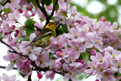 506527624_4246031685722135_2343703371563988168_n