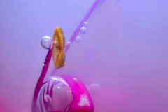 518270100_10171472100085425_8524809515171647111_n