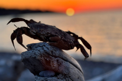 518385886_122126251520859233_6414232027523157794_n