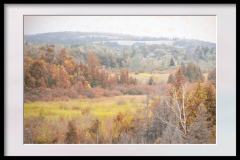 554240109_10172100788245425_1341781412780133131_n